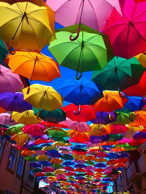 ポルトガルの傘祭りで傘の写真ばかり撮ってたら 斬新な撮影方法を編み出してしまった