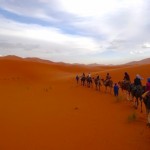 通常の半額以下で2泊3日のサハラ砂漠ツアーに参加してみた（メルズーガ大砂丘）