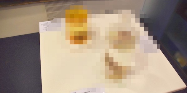 【閲覧注意】男子にはキツい…。アイスランドのペニス博物館で僕が見たもの