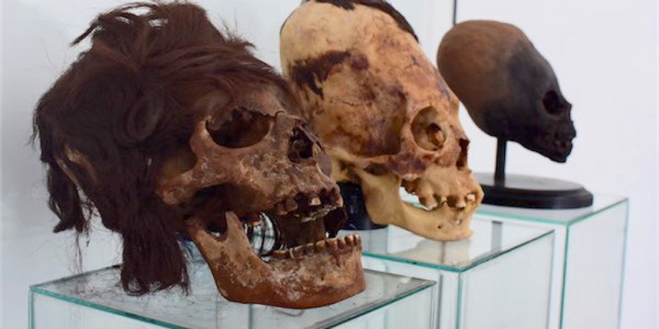 宇宙人説の絶えない「パラカスの頭蓋骨」の実物を見に行ってきた