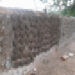 DSCN3822